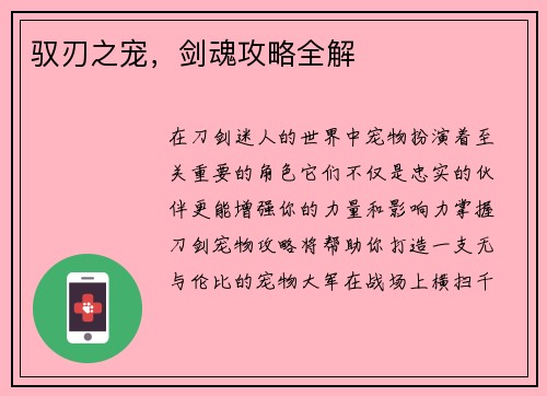 驭刃之宠，剑魂攻略全解